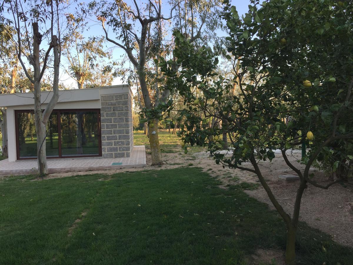 Tenuta Monaci La Murra Carmiano  Exteriör bild